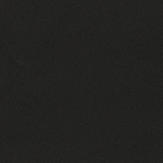 301900002 / Schwarz Feinstruktur 301900002 / Schwarz Feinstruktur