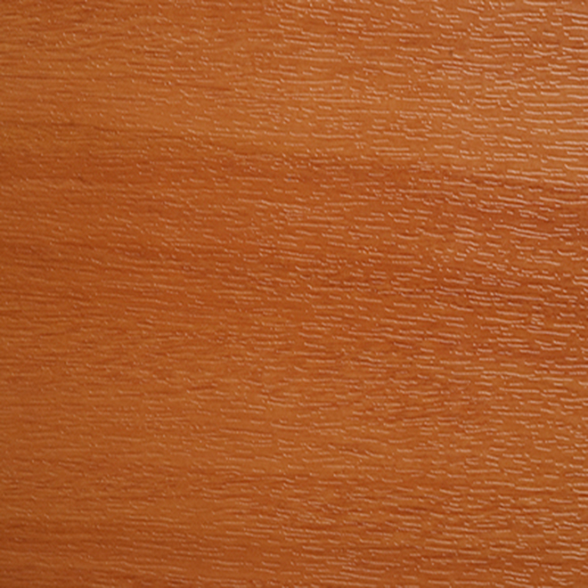 49198-011 / 3.0178 003-101100 / SHOGUN AF 49198-011 / 3.0178 003-101100 / SHOGUN AF