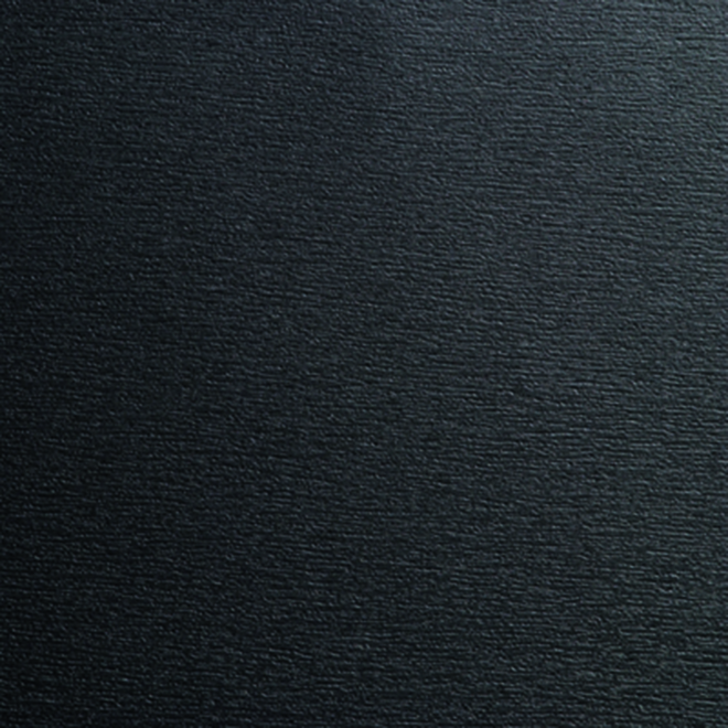 1293010-195 / 9.1293 010-119500 / Earl Platin